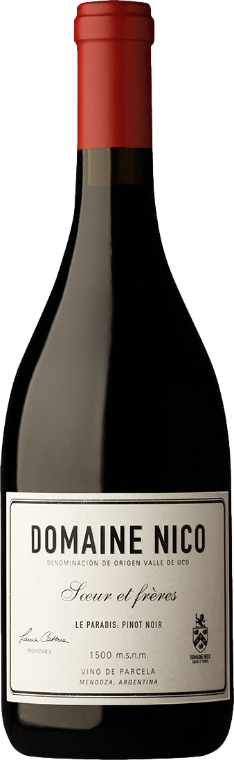 Domaine Nico Le Paradis Pinot Noir 2020