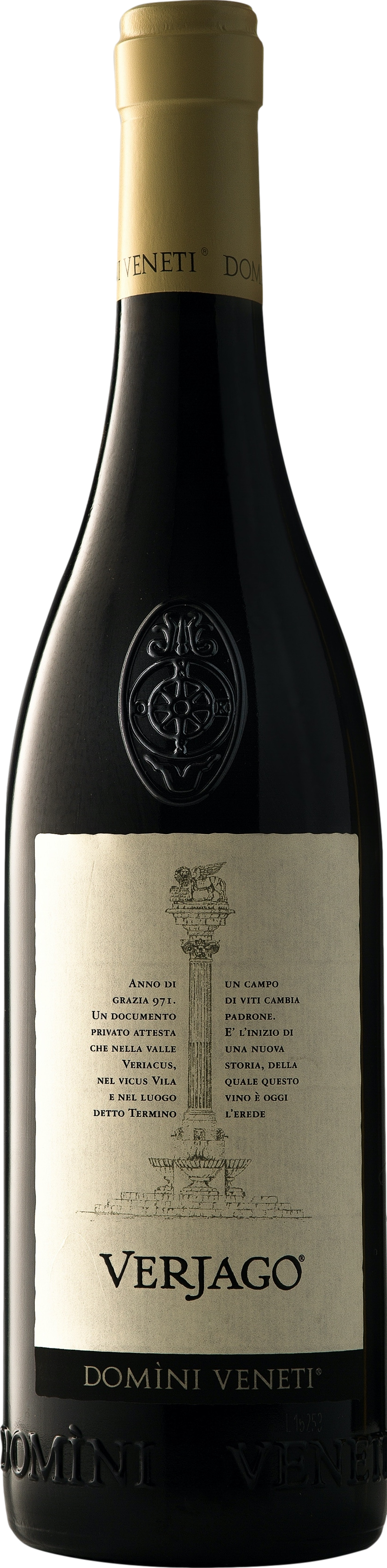 Domini Veneti Valpolicella Classico Superiore Verjago