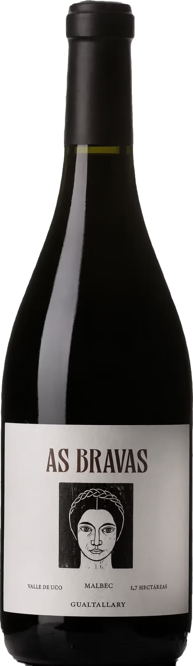 El Enemigo As Bravas Gualtallary Malbec
