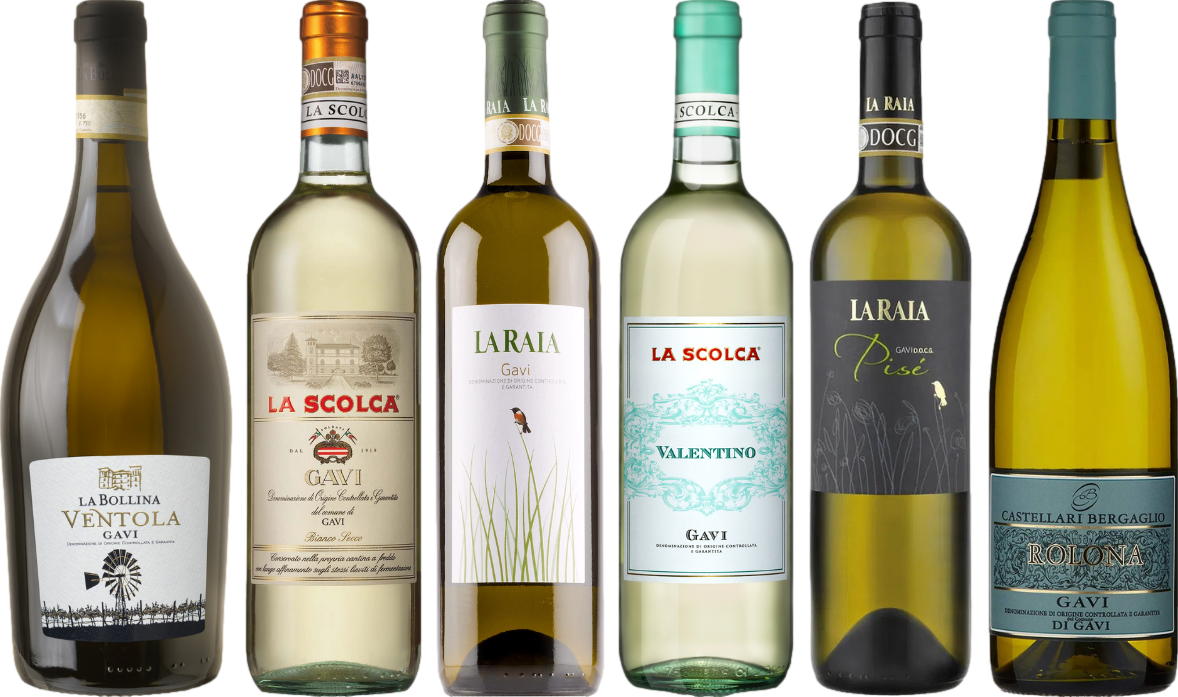 Gavi Caso Degustazione