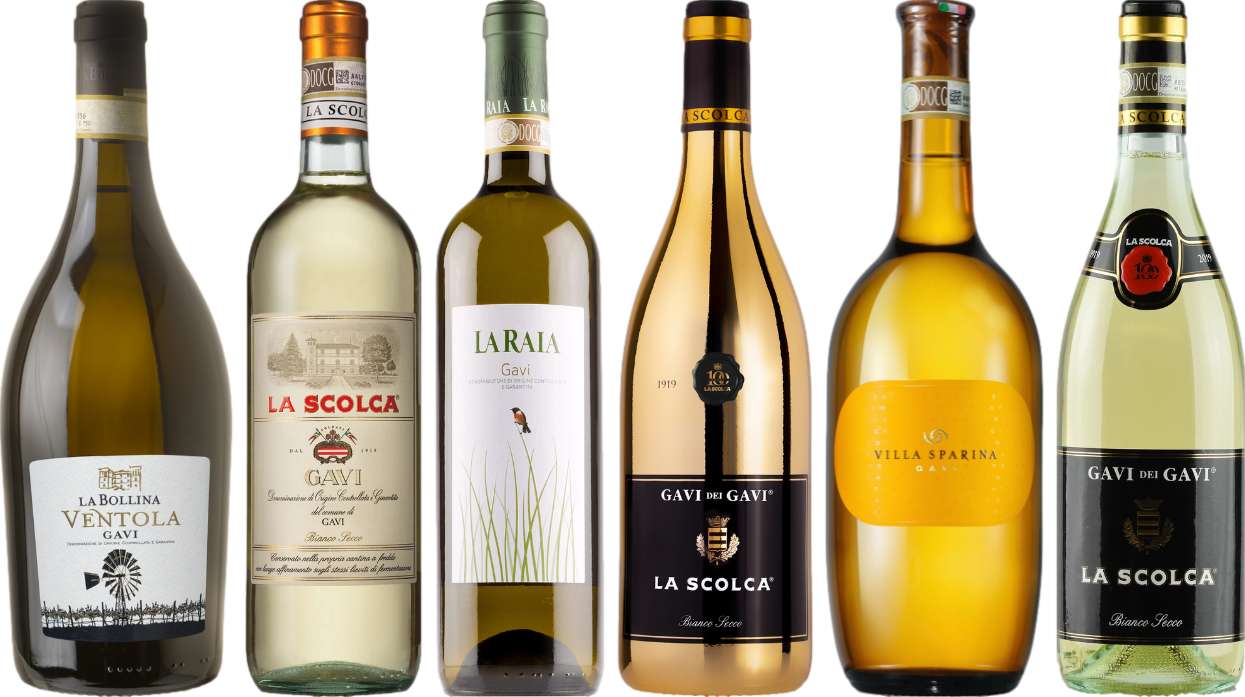 Gavi Caso Degustazione