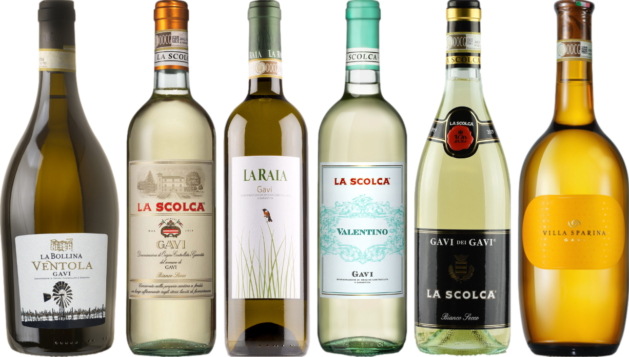 Gavi Caso Degustazione