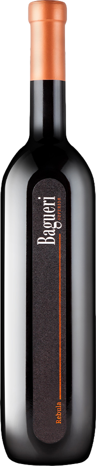 Klet Brda Bagueri Rebula 2021