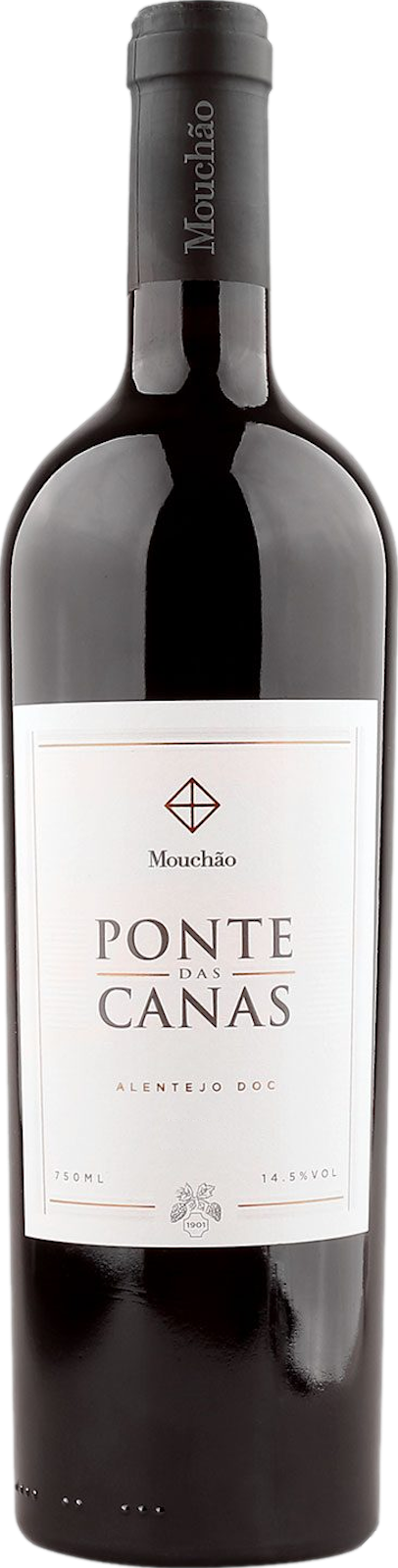 Mouchao Ponte das Canas 2019