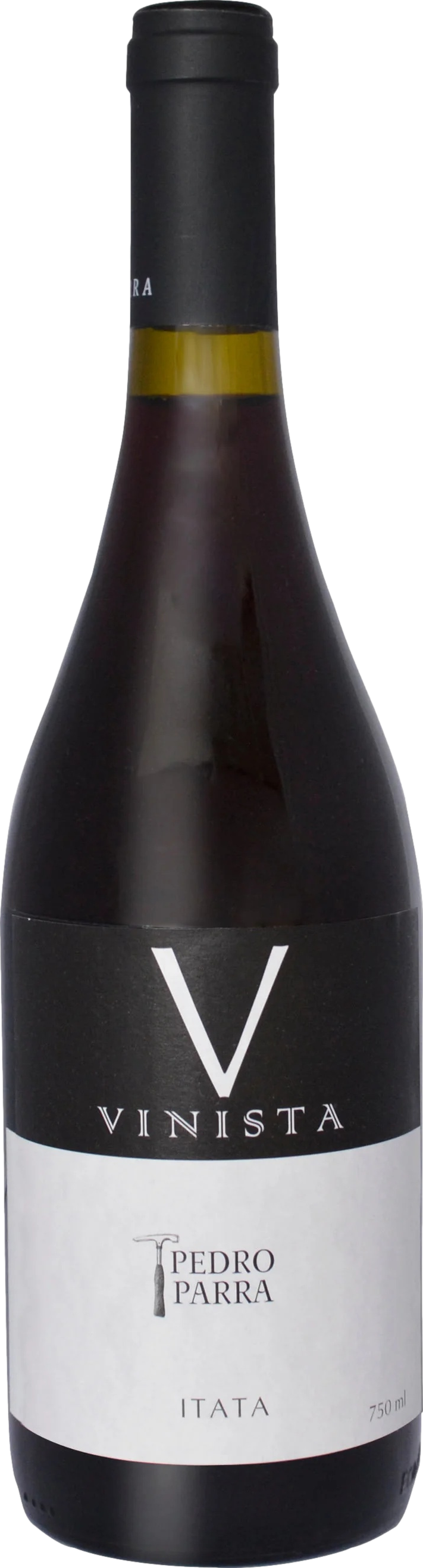 Pedro Parra Vinista Pais 2022