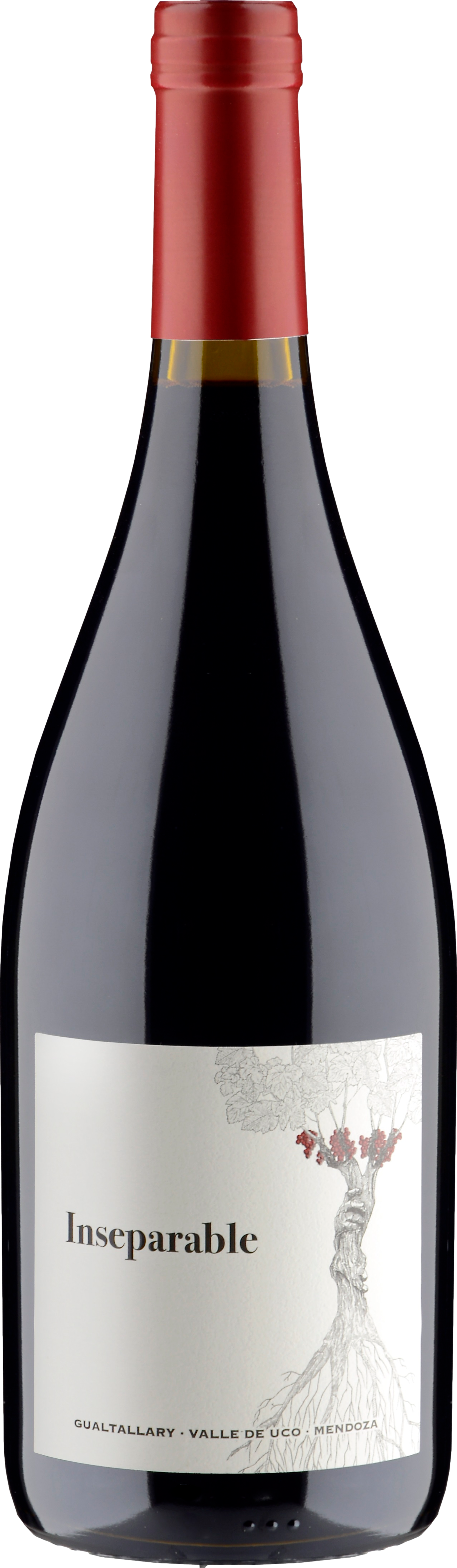 PerSe Inseparable 2022