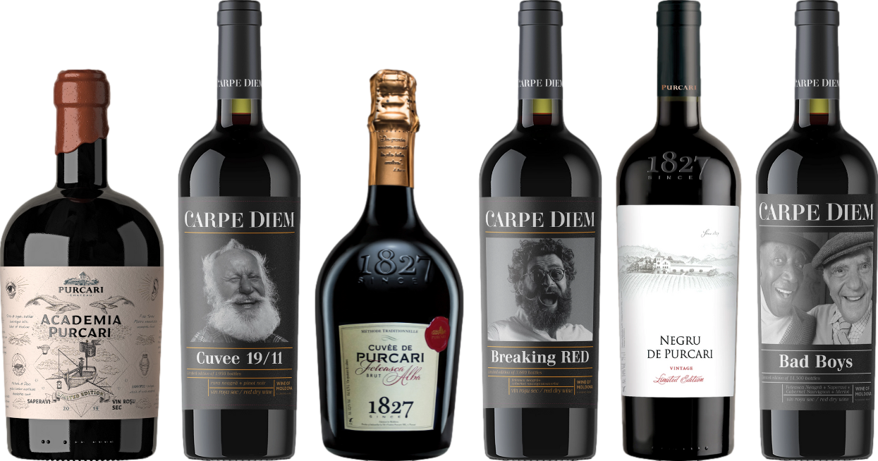 Caso Degustazione Premium di Vino Moldavo