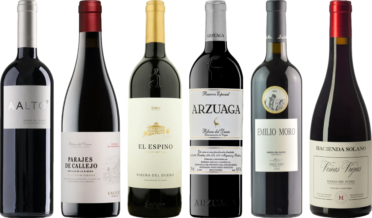 Ribera del Duero Caso Degustazione Premium