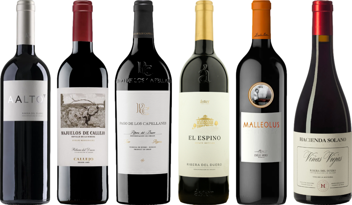 Ribera del Duero Caso Degustazione Premium