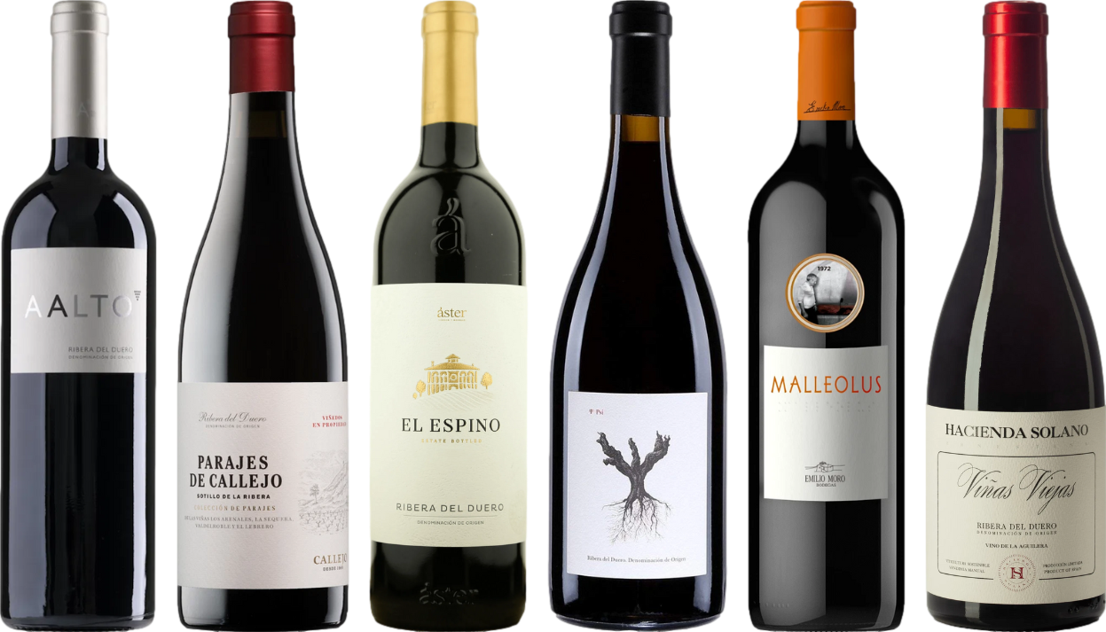 Ribera del Duero Caso Degustazione Premium