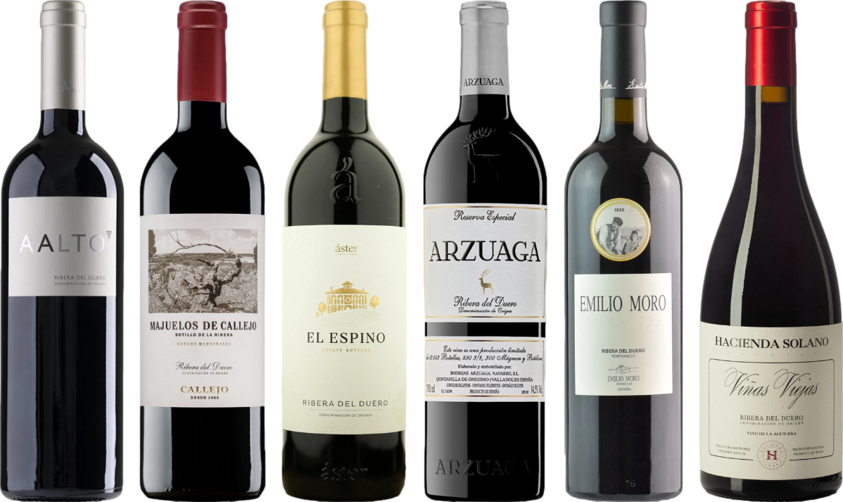 Ribera del Duero Caso Degustazione Premium