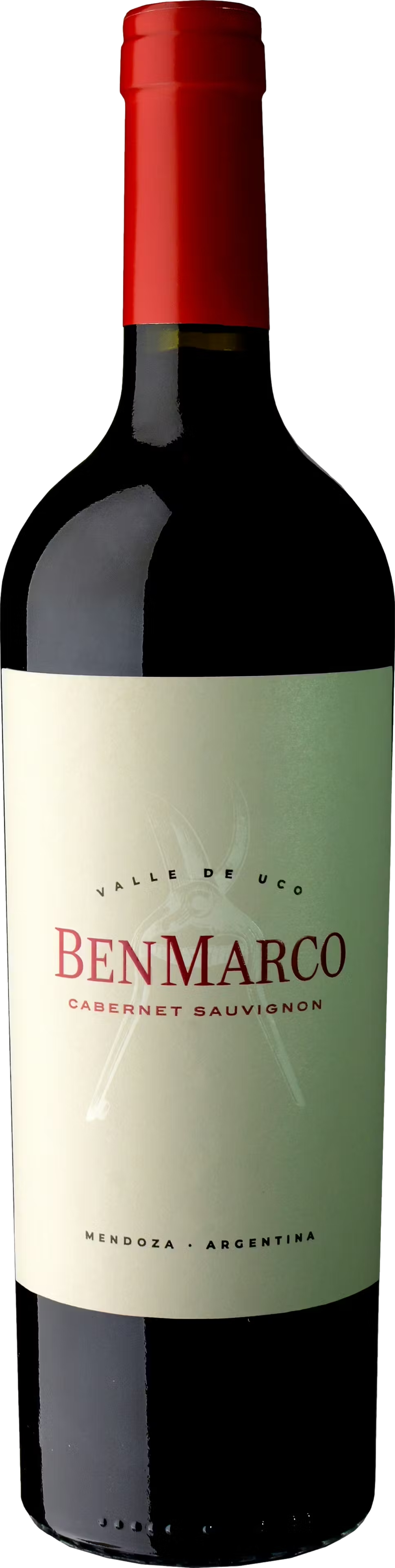 Susana Balbo BenMarco Cabernet Sauvignon 2021