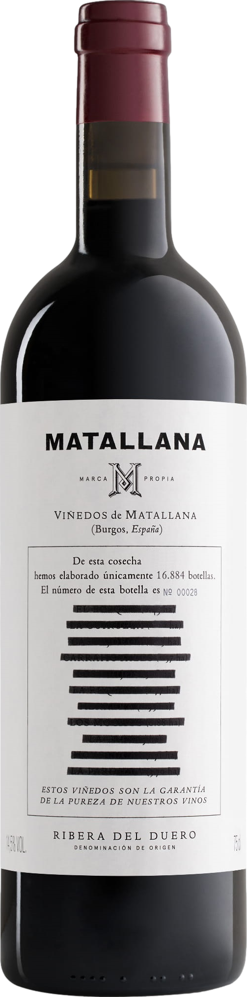 Telmo Rodriguez Matallana 2020