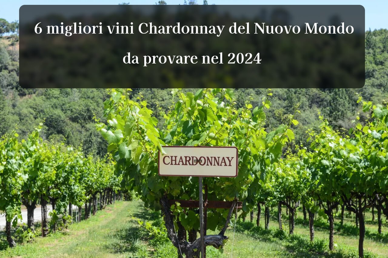 6 migliori vini Chardonnay del Nuovo Mondo da provare nel 2024