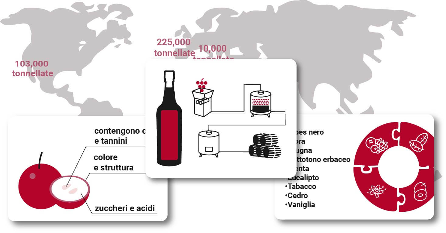 Guida al Cabernet Sauvignon nel mondo nel 2024