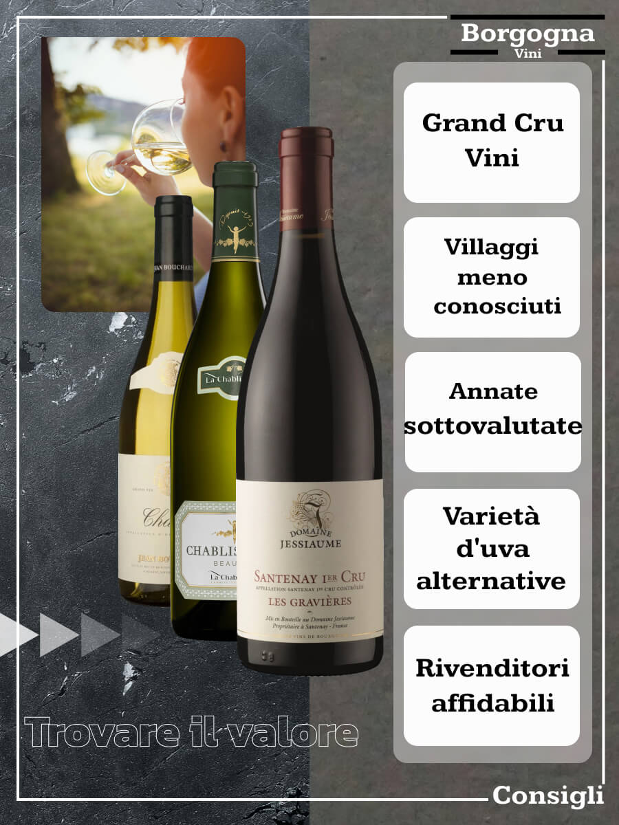 Borgogna Vini