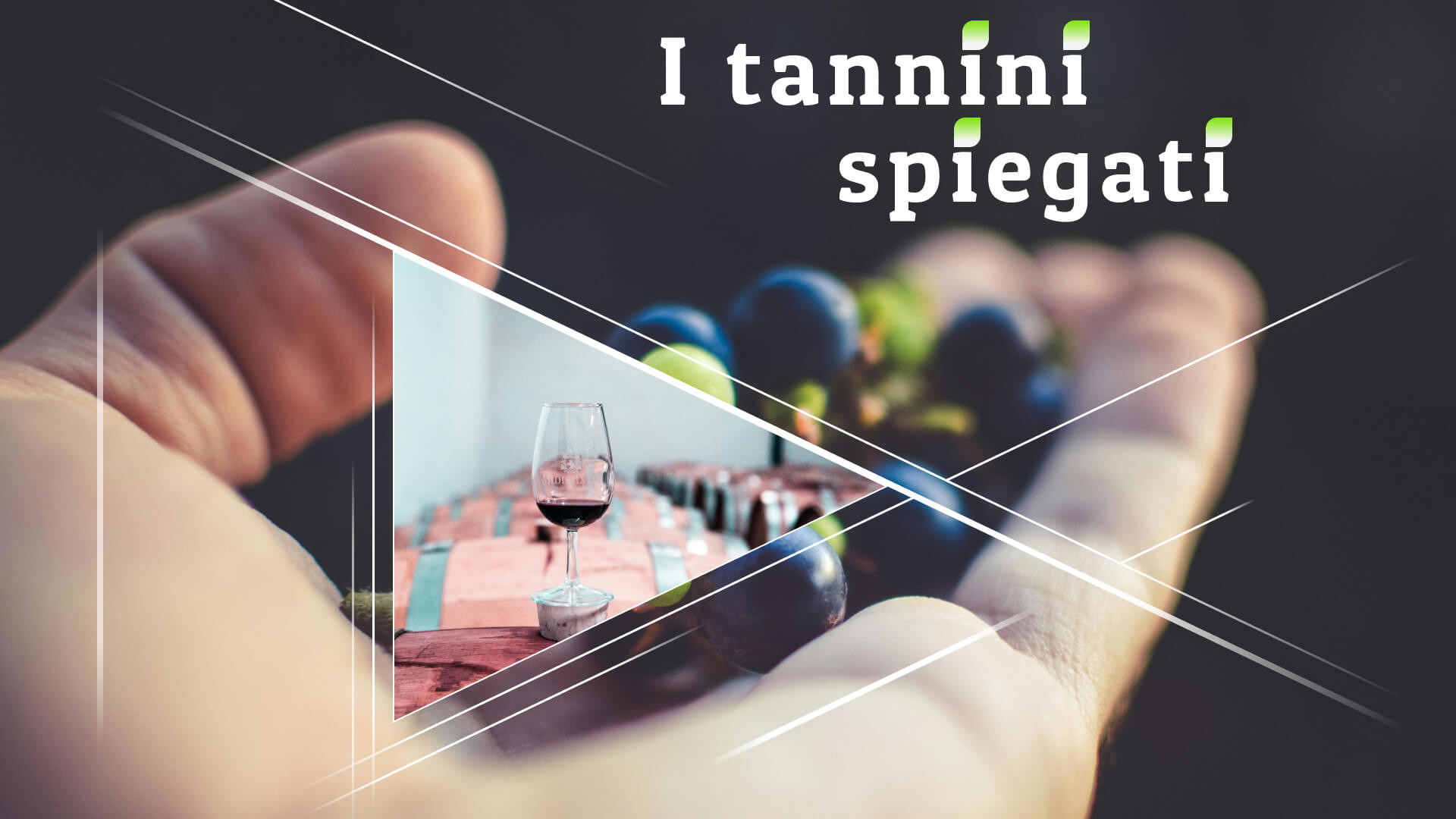 I tannini spiegati: Come influiscono sul vino 