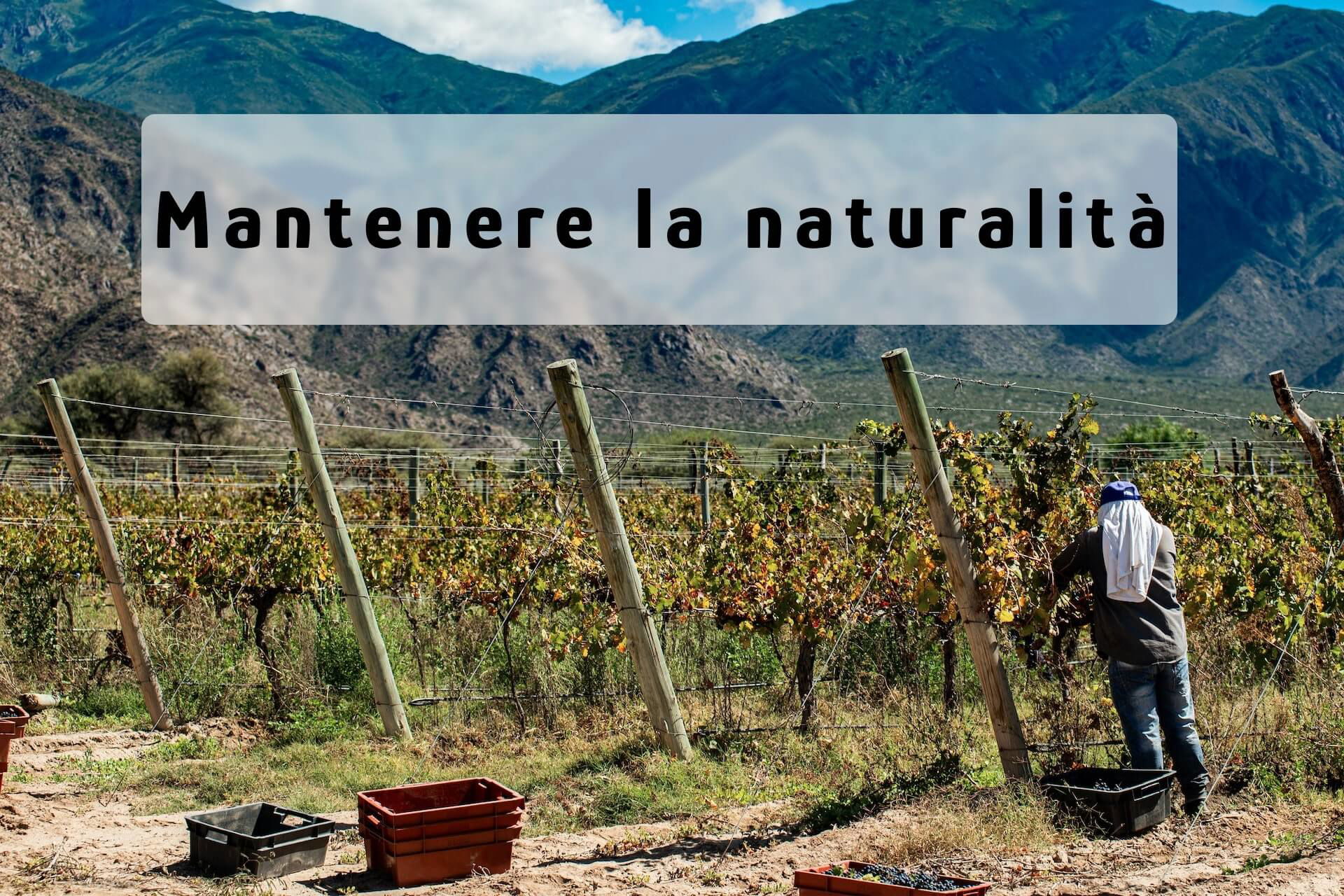 Mantenere la naturalità