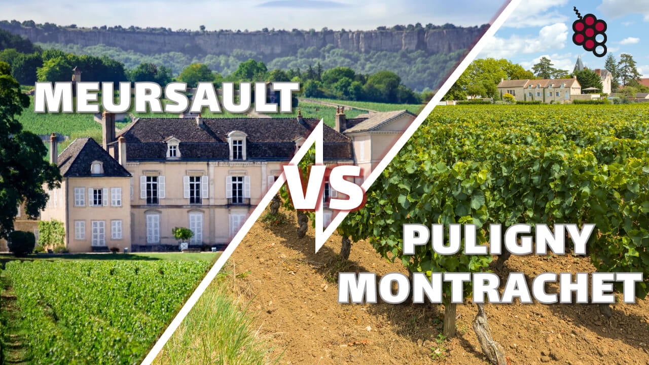 Il ruolo chiave del terroir: Meursault vs Puligny Montrachet e ciò che rende questi vini così unici