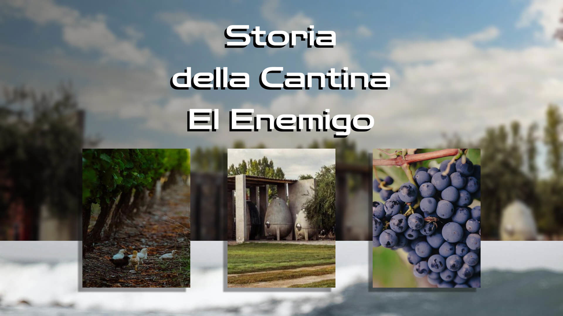 La storia della cantina El Enemigo