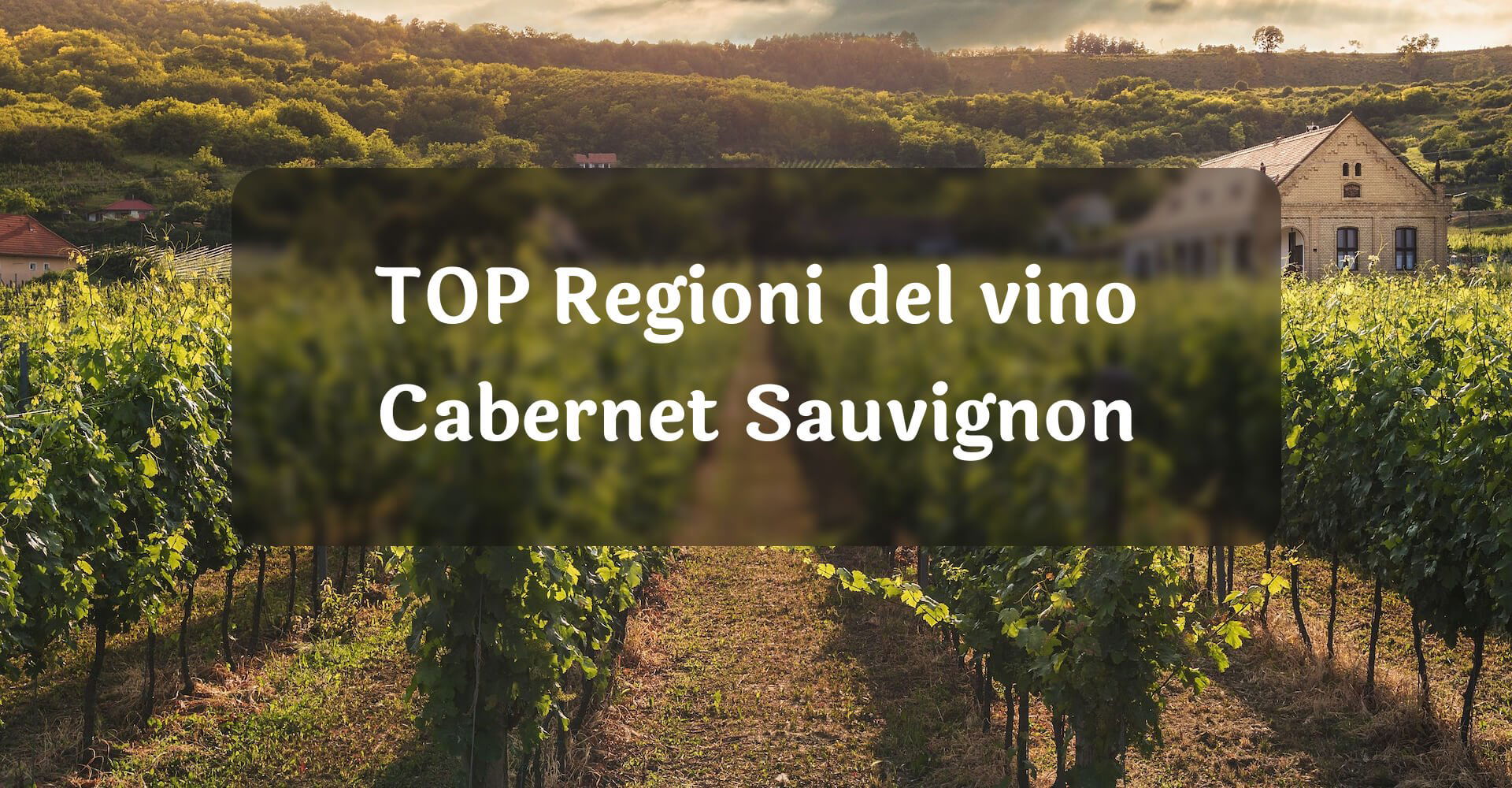 TOP Regioni del vino Cabernet Sauvignon