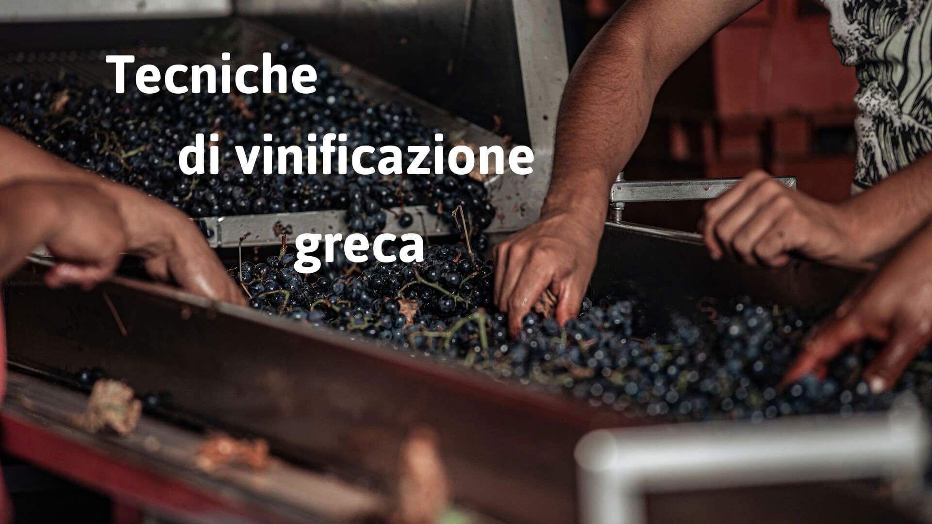 Tecniche di vinificazione greca