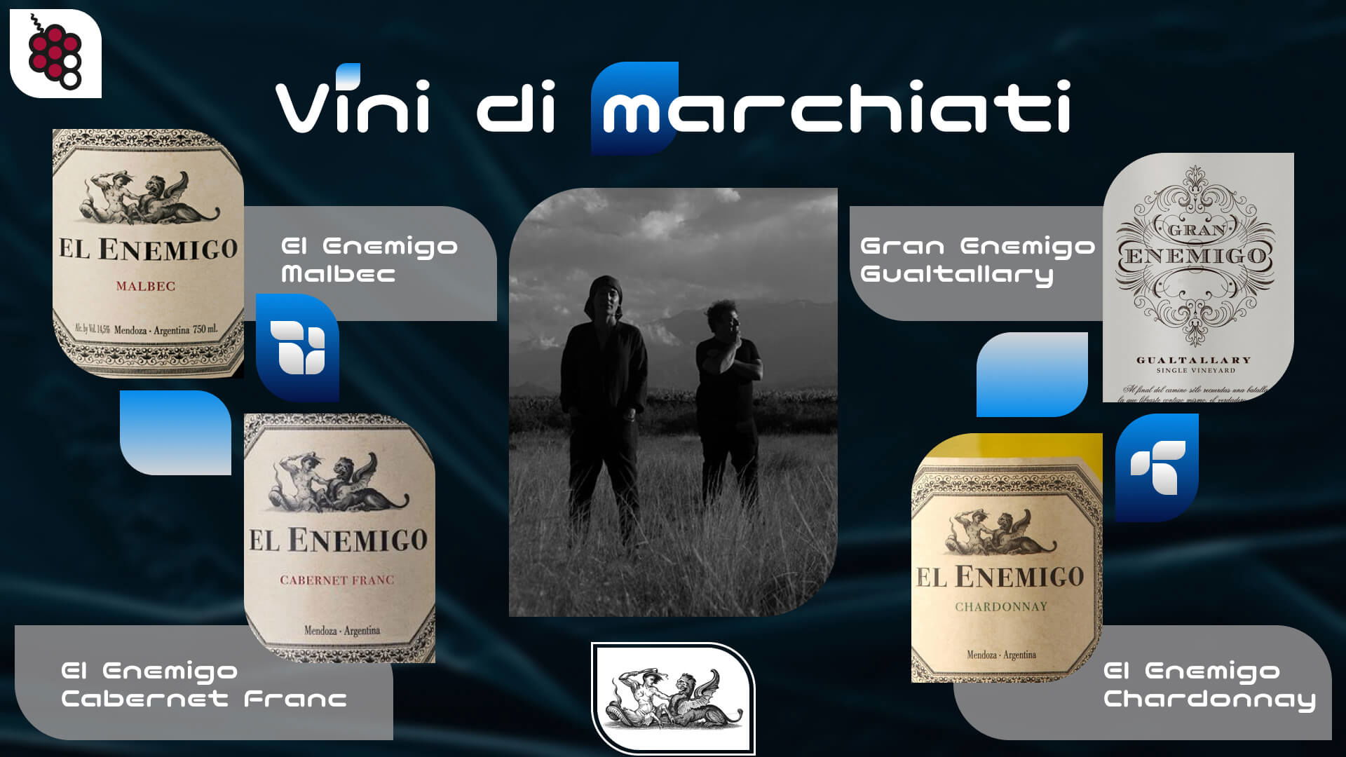 Vini di marchiati