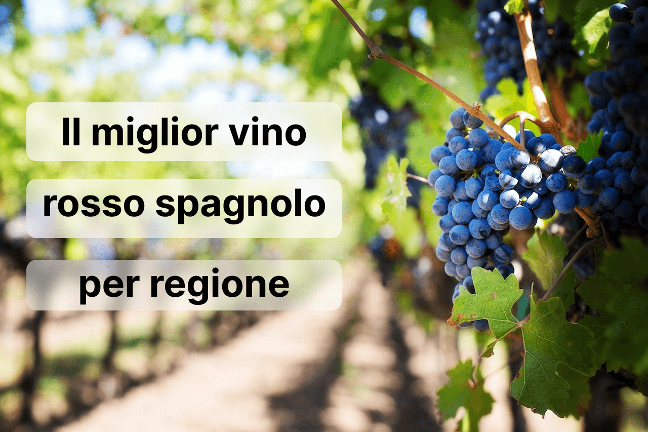 Il miglior vino rosso spagnolo per regione