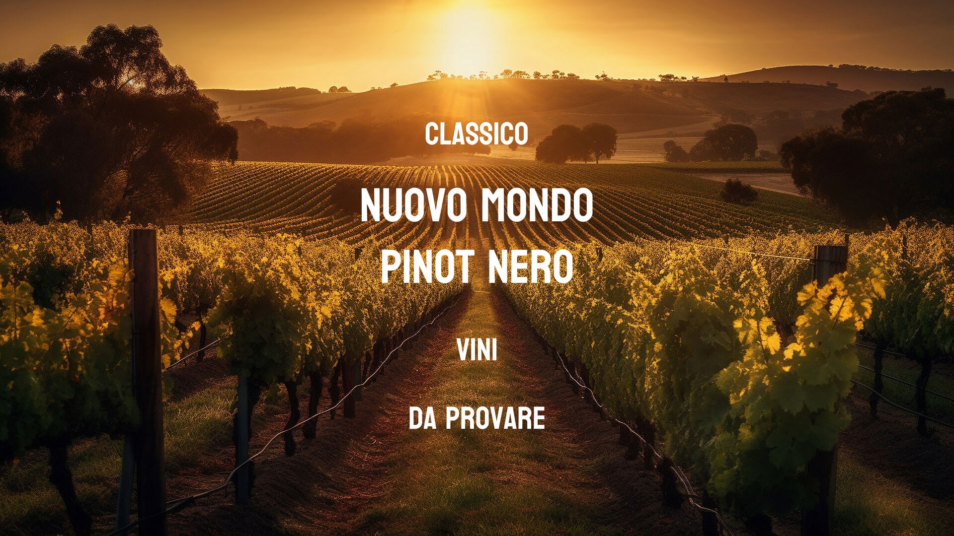 vini classici del Nuovo Mondo Pinot Nero da provare