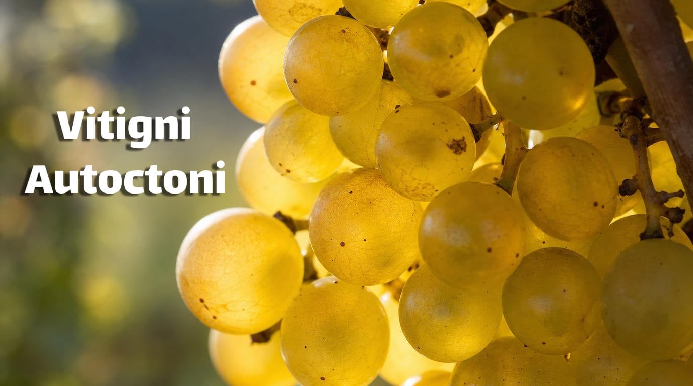 vitigni autoctoni